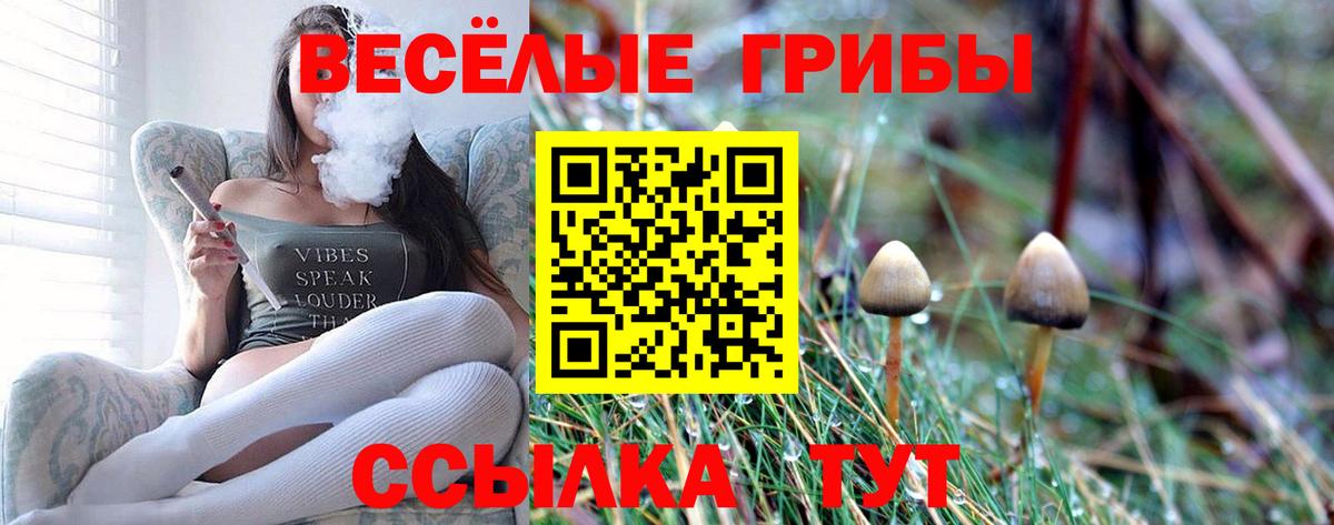 Карпинск  Галлюциногенные грибы ЛСД  Вход с VPN 